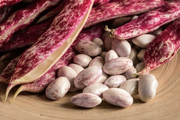 Fagioli Borlotti Freschi