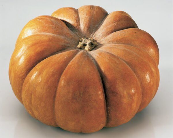 Zucca Moscata di Provenza