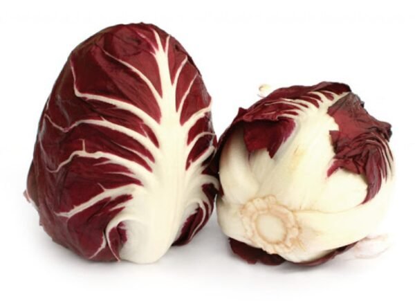 Radicchio Verona Rosso